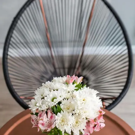 Apartament Stars Торунь Екстер'єр фото